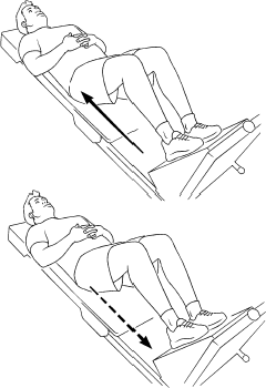 Knee Extension Quadriceps Double Leg Minisquat Eccentric 25